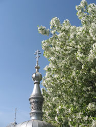 Увеличить изображение. Размер файла: 162,29 Kb [600X800]