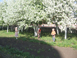 Увеличить изображение. Размер файла: 242,29 Kb [800X600]