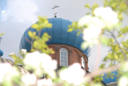 Увеличить изображение. Размер файла: 73,27 Kb [800X536]