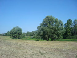 Летний лагерь в селе Анзирка. Увеличить изображение. Размер файла: 120,61 Kb [800X600]