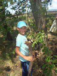 Летний лагерь в селе Анзирка. Увеличить изображение. Размер файла: 212,76 Kb [600X800]