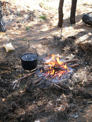 Дети Воскресной школы на прогулке в лесу. Увеличить изображение. Размер файла: 292,2 Kb [600X800]