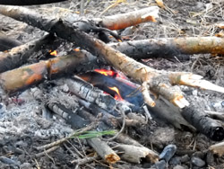 Дети Воскресной школы на прогулке в лесу. Увеличить изображение. Размер файла: 209 Kb [800X600]