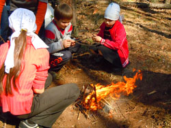 Прогулка Воскресной школы в лесу. Увеличить изображение. Размер файла: 198,39 Kb [800X600]
