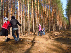 Прогулка Воскресной школы в лесу. Увеличить изображение. Размер файла: 228,37 Kb [800X600]
