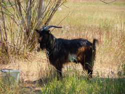 Православный лагерь воскресных школ Набережных Челнов. Увеличить изображение. Размер файла: 228,87 Kb [800X600]