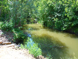 Православный лагерь воскресных школ Набережных Челнов. Увеличить изображение. Размер файла: 226,34 Kb [800X600]