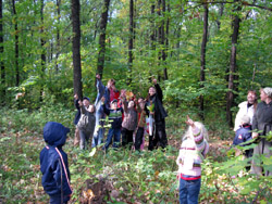 Прогулка Воскресной школы в лесу. Увеличить изображение. Размер файла: 317,81 Kb [800X600]