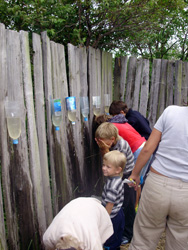 Детский летний лагерь. Увеличить изображение. Размер файла: 229,28 Kb [600X800]