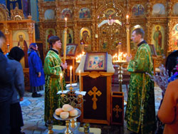 Всенощное бдение в Вербное воскресенье. Увеличить изображение. Размер файла: 188,99 Kb [800X600]