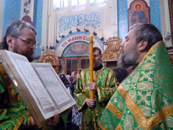 Вербное воскресенье в Боровецкой церкви. Увеличить изображение. Размер файла: 193,6 Kb [800X600]