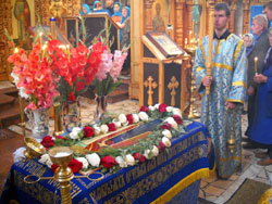 Увеличить изображение. Размер файла: 207 Kb [800X600]