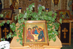 Увеличить изображение. Размер файла: 157,36 Kb [800X536]