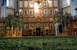 Увеличить изображение. Размер файла: 167,45 Kb [800X528]