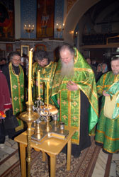 Увеличить. Вход Господень в Иерусалим. 536х800. 160кБ