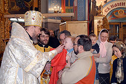 Увеличить изображение. Размер файла 138,91 Kb [800X535]