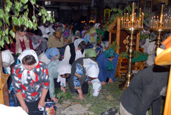 Увеличить. 161,68 Kb [800X536]