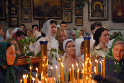 Увеличить. 141,63 Kb [800X536]