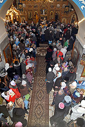 Увеличить изображение. Размер файла 164,16 Kb [535X800]