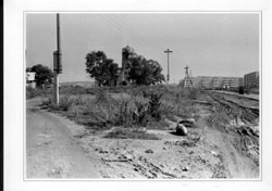 Автор фото: Павел Уланов. Увеличить фото. Размер файла: 109,61 Kb [800X564]