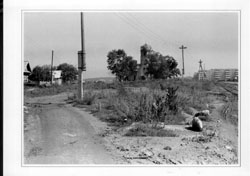 Автор фото: Павел Уланов. Увеличить фото. Размер файла: 106,65 Kb [800X564]