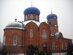 Первый снег в 2009 году. Увеличить изображение. Размер файла: 135,59 Kb [800X600]