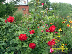 Виды Свято-Вознесенского собора. Увеличить изображение. Размер файла: 217,55 Kb [800X600]