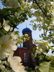 Весенний храм. Виды Свято-Вознесенского собора.Увеличить изображение. Размер файла: 157,41 Kb [600X800]