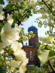 Весенний храм. Виды Свято-Вознесенского собора.Увеличить изображение. Размер файла: 165,32 Kb [600X800]