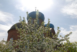 Свято-Вознесенский собор. Увеличить изображение. Размер файла: 132,52 Kb [800X536]