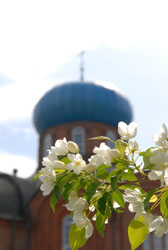 Свято-Вознесенский собор. Увеличить изображение. Размер файла: 72,02 Kb [536X800]