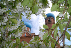 Свято-Вознесенский собор. Увеличить изображение. Размер файла: 146,73 Kb [800X536]