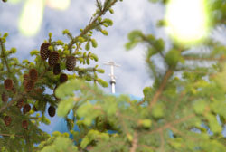 Свято-Вознесенский собор. Увеличить изображение. Размер файла: 112,58 Kb [800X536]
