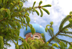 Свято-Вознесенский собор. Увеличить изображение. Размер файла: 138,77 Kb [800X536]