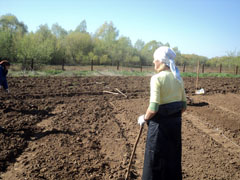 Свежий воздух, деревенское молоко и труды благие. Увеличить изображение. Размер файла: 189,77 Kb [800X600]