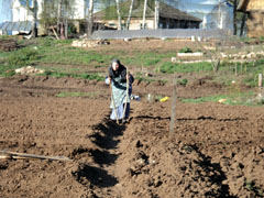 Свежий воздух, деревенское молоко и труды благие. Увеличить изображение. Размер файла: 186,18 Kb [800X600]