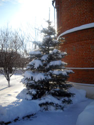 Зимние виды Боровецкой церкви. Увеличить изображение. Размер файла: 138,58 Kb [600X800]