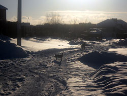 Зимние виды Боровецкой церкви. Увеличить изображение. Размер файла: 139,11 Kb [800X600]