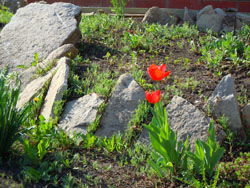 Виды Свято-Вознесенского собора. Увеличить изображение. Размер файла: 262,4 Kb [800X600]