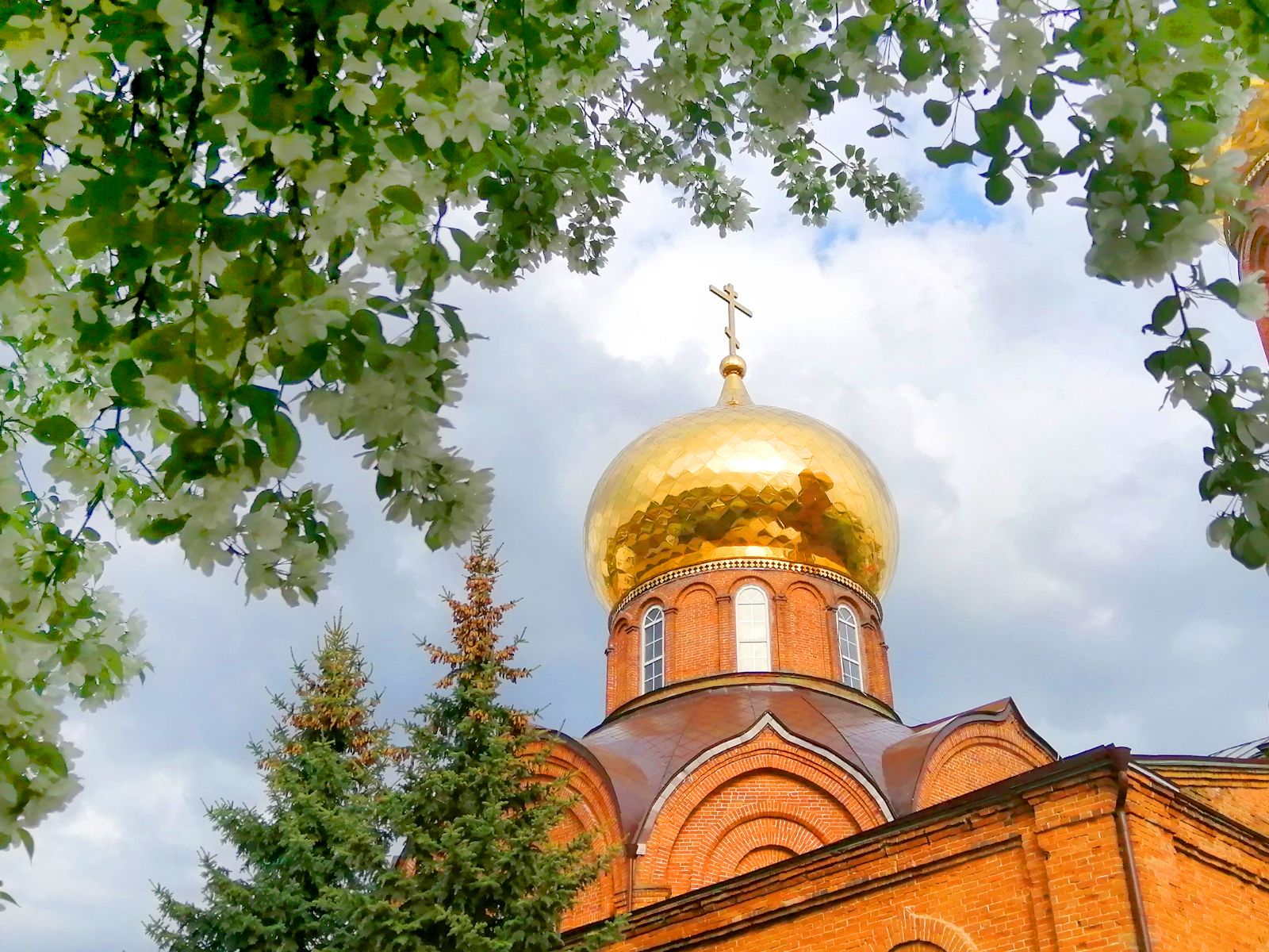 Ради любви