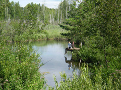 Озеро, в которое стекает вода св. источника. Увеличить изображение. Размер файла: 233,2 Kb [800X600]