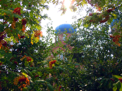 Богослужение в Ильин день. Увеличить изображение. Размер файла: 627,41 Kb [800X600]