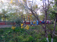 Рождество Пресвятой Богородицы в архиерейском подворье. Увеличить изображение. Размер файла: 352,03 Kb [800X600]