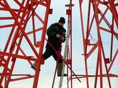 Сборка каркаса нового купола. Увеличить изображение. Размер файла: 217,7 Kb [800X600]