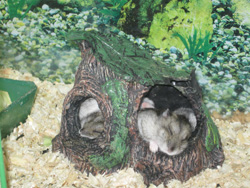 Воскресная школа в театре кукол. Увеличить изображение. Размер файла: 293,35 Kb [800X600]