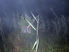 Сплоченные идеей творить и действовать. Увеличить изображение. Размер файла: 413,21 Kb [800X600]