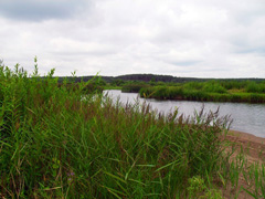 Сплоченные идеей творить и действовать. Увеличить изображение. Размер файла: 493,07 Kb [800X600]