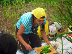 Сплоченные идеей творить и действовать. Увеличить изображение. Размер файла: 595,09 Kb [800X600]
