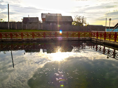 Весна в Боровецком. Увеличить изображение. Размер файла: 455,4 Kb [800X600]