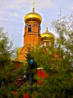 Весна в Боровецком. Увеличить изображение. Размер файла: 1250,03 Kb [800X1068]